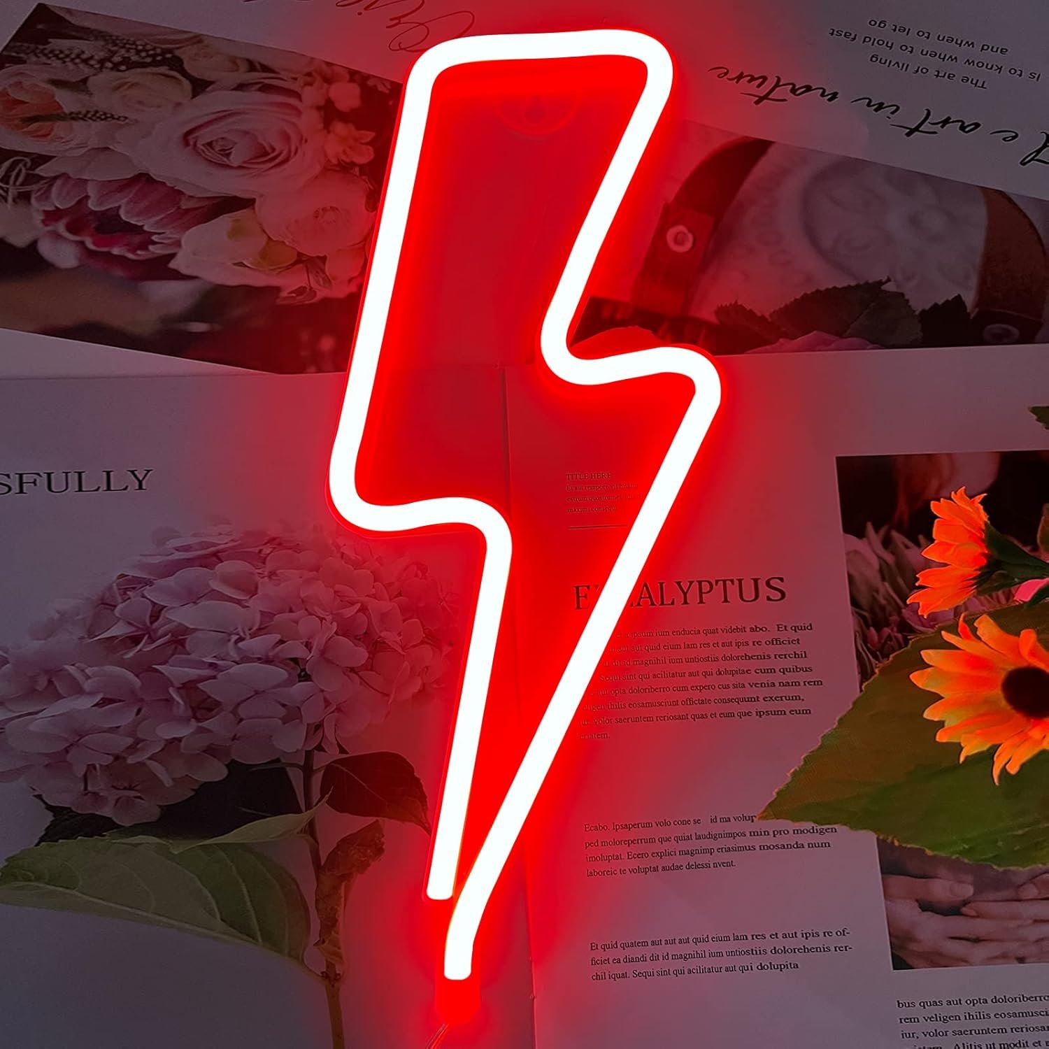 Neon Signs Lightning Bolt Neon Light Sign for Wall Decor, Battery or USB Powered Led Lightning Light Neon Sign for Bedroom, Kids Room, Birthday, Party, Wedding, Home, Kids Decorations Red