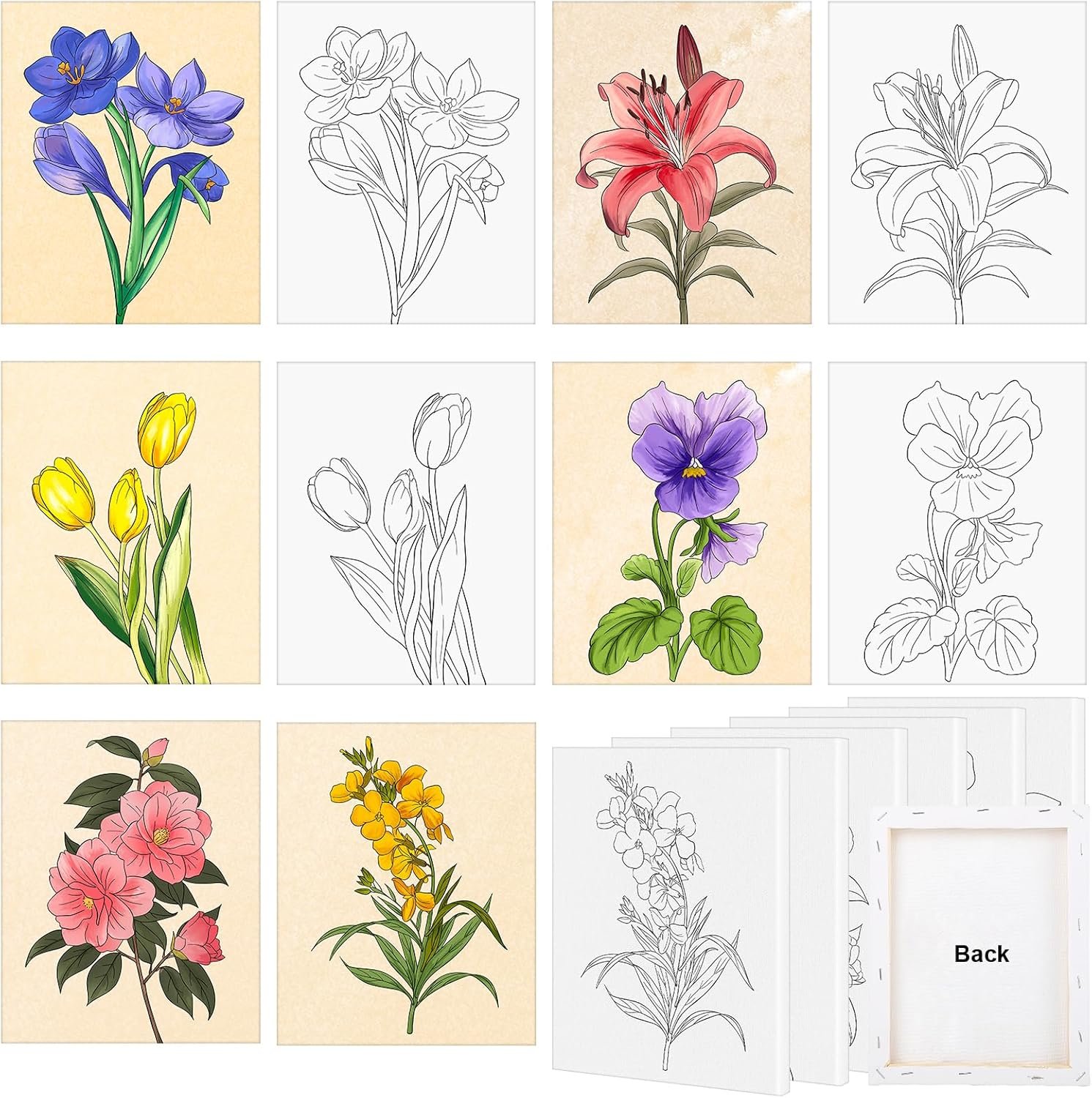 COCHIE 6 Pack 8×10 Inches Flower Pre Drawn Canvas to Paint for Sip and Paint Party, Pre Printed Framed Canvases Set, Floral Tulip Violet Pre Sketched Canvas for Painting for Adults Kids